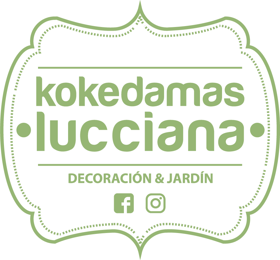 Kokedamas Lucciana